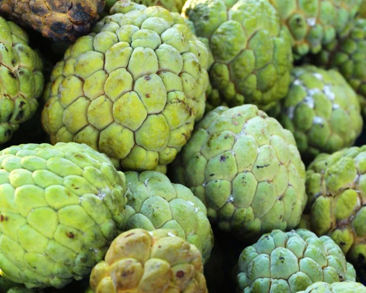 Custard Apple Benefits for Diabetes