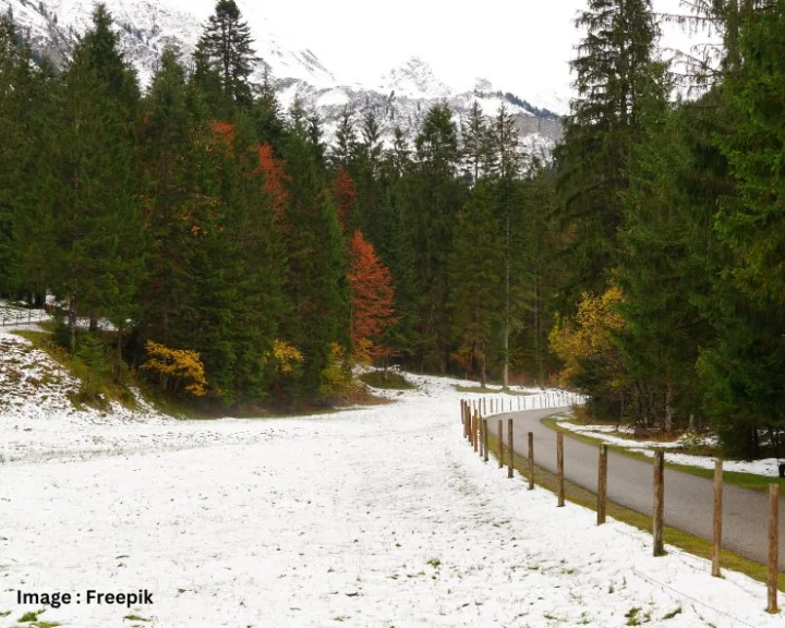 Kashmir has a hot weather during the day and cold at night