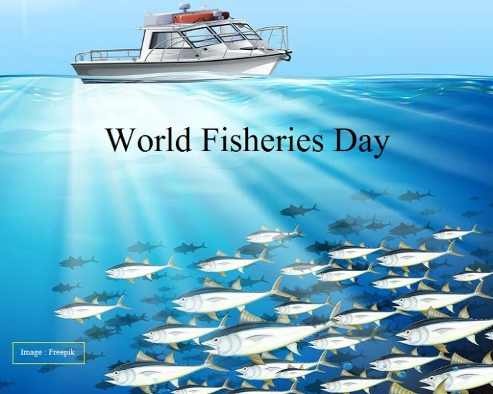 World Fisheries Day