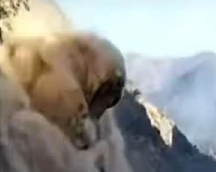 pithoragarh landslide
