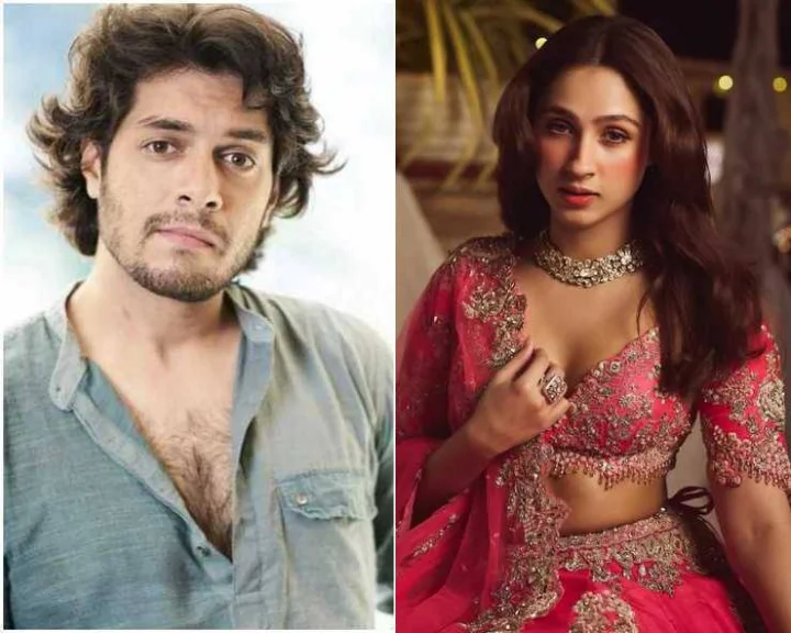 Year 2024 Bollywood Debut Actors List