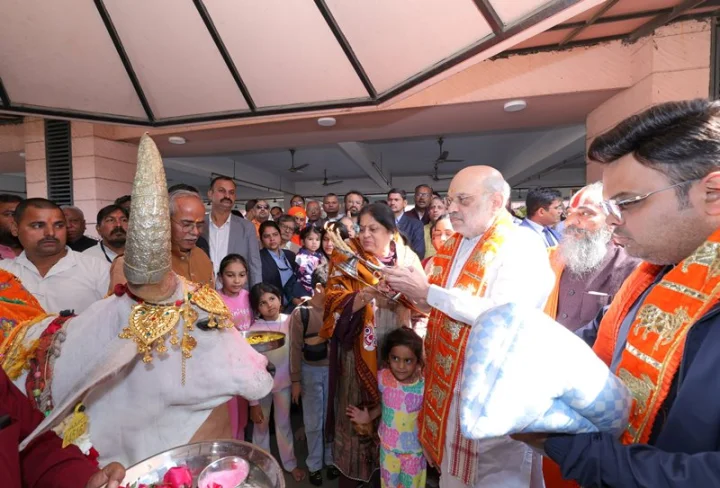 amit shah jay shah cow hindi news