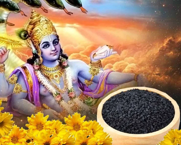 Shattila Ekadashi Importance