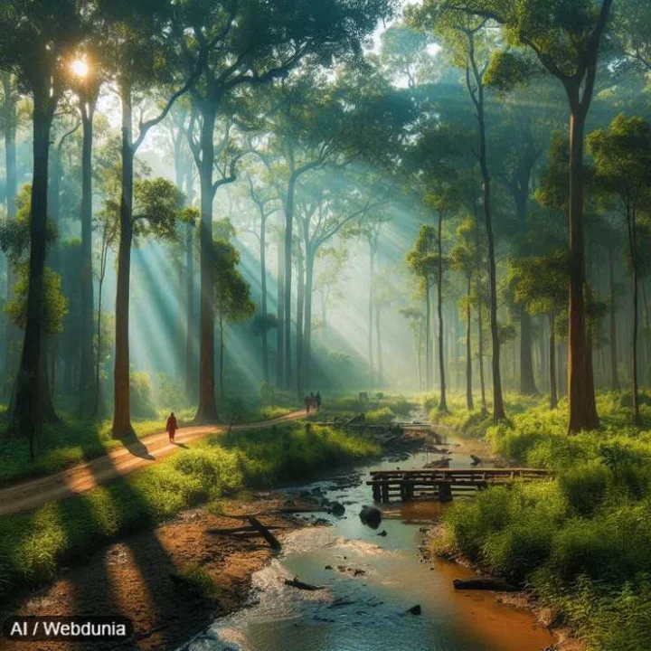 Forest Day