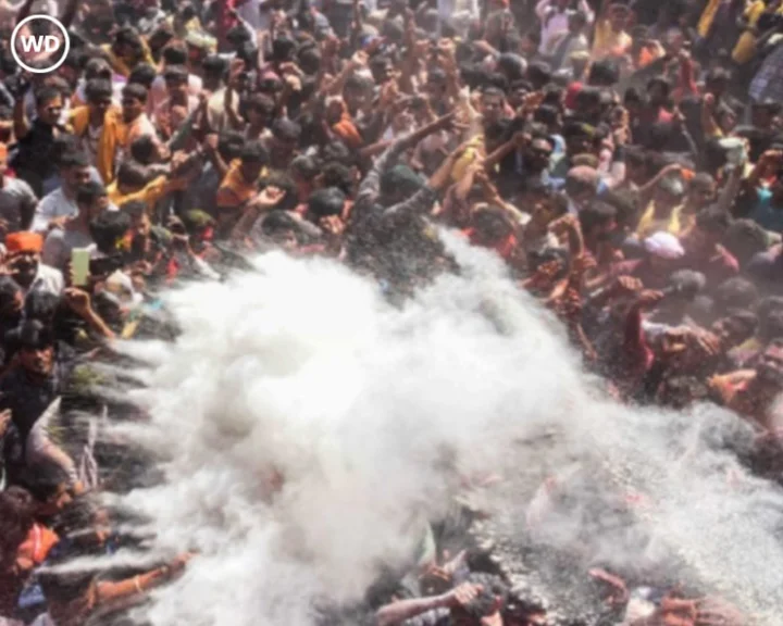 Bhasma Holi