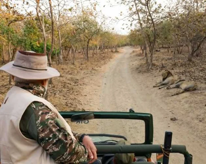 PM modi jungle safari