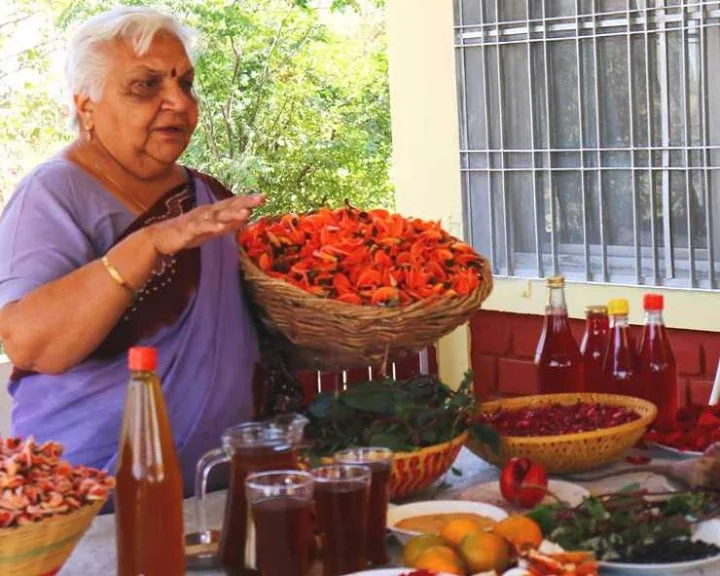 Rangotsav Holi 2025