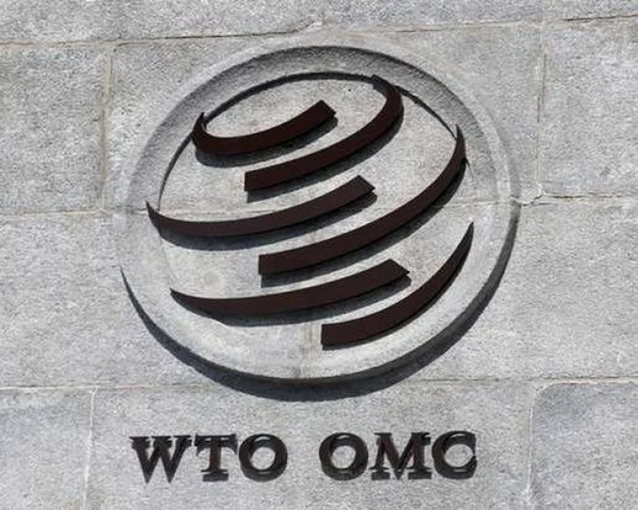 WTO chief appealed to business partners regarding US fee case