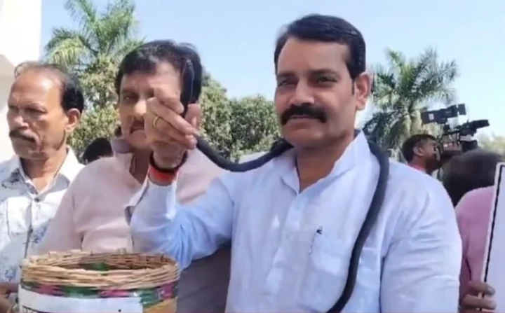 Madhya Pradesh Vidhansabha News