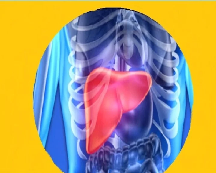 World Liver Day