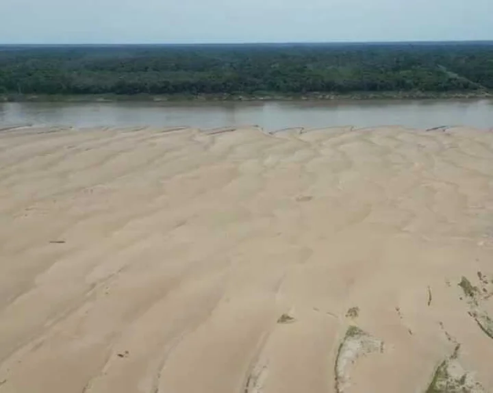 5 teenagers died due to drowning in Godavari river in Telangana
