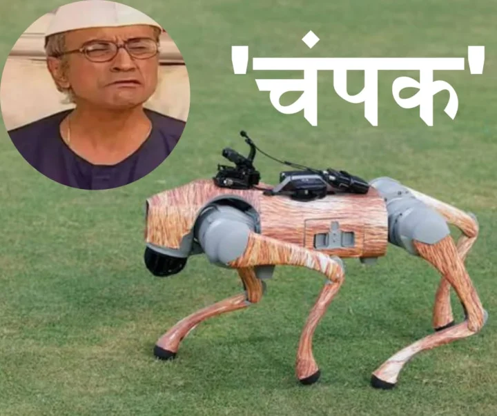 IPL robot dog champak hindi news
