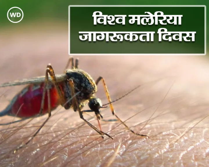 World Malaria Day 2025