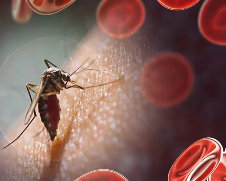 World Malaria Day 2025