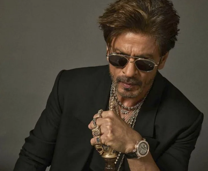 Shah Rukh Khan in Don 3