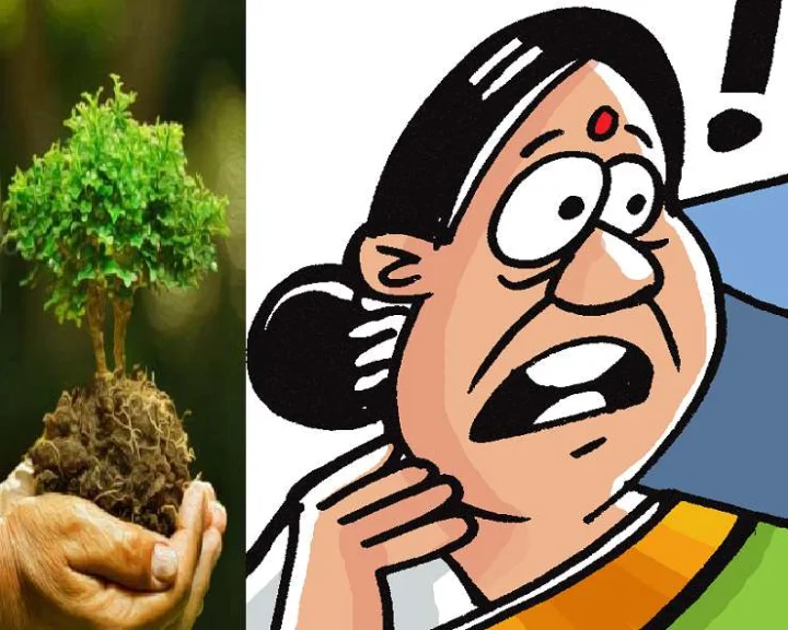 Environment