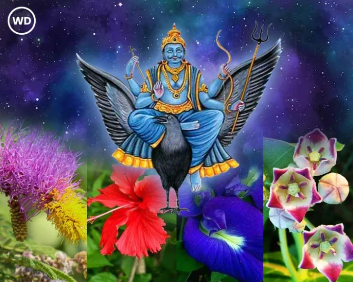 shani jayanti 2025 