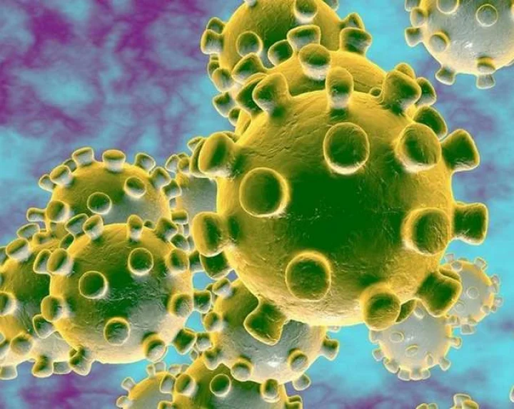 coronavirus