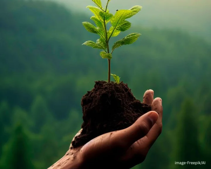 World Environment Day 2025 theme in India
