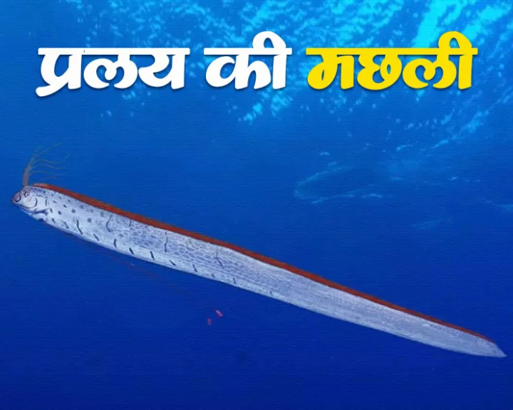 doomsday fish tamil nadu