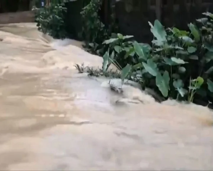 Flood in Assam