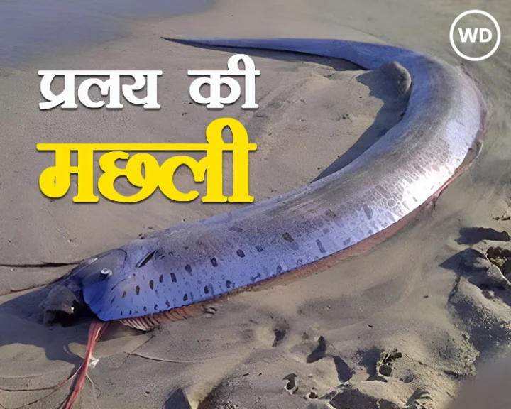 doomsday fish tamil nadu