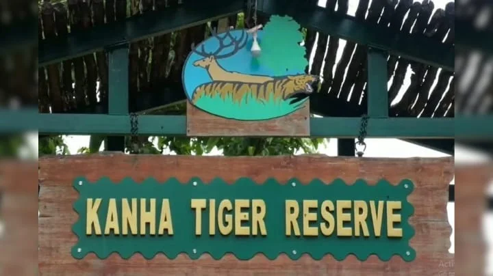 Tigers in Madhya Pradesh