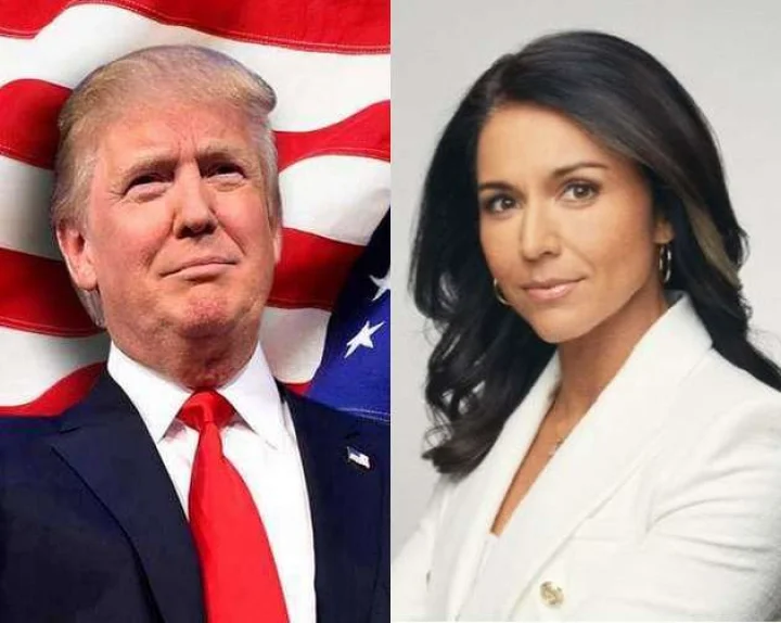 trump and tulsi gabbard