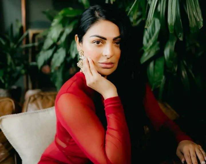 Sardar Ji 3 Movie Controversy