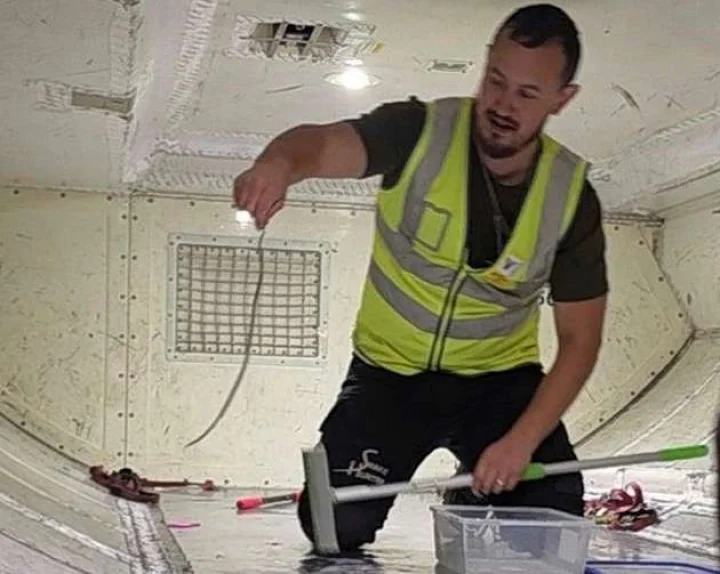 snake in plane