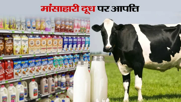 non vegetarian milk