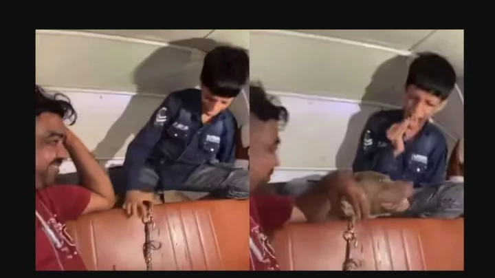 ऑटोमध्ये मुलाच्या अंगावर पिटबुल कुत्रा सोडला, त्याने चावा घेतला मात्र मालक वाचवण्याऐवजी मोठ्याने हसत राहिला