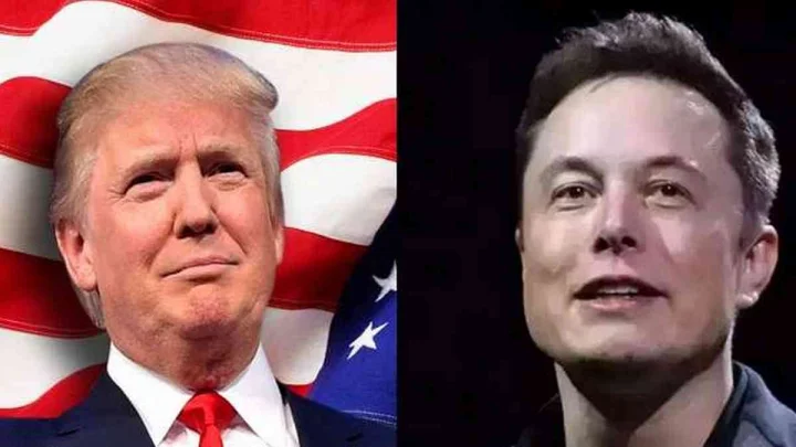 trump musk