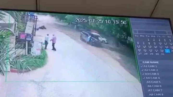hit and run case