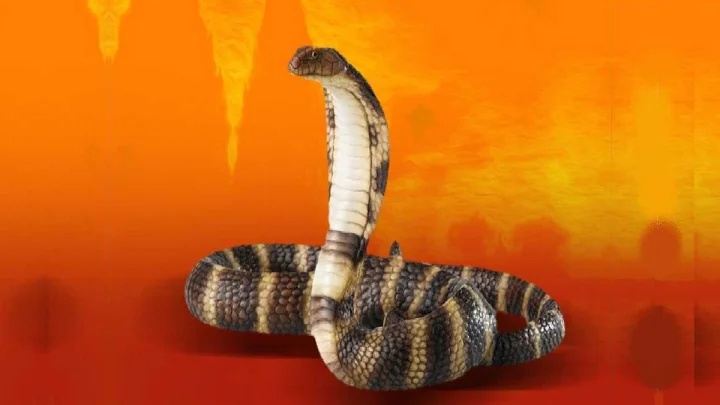 Nagpanchami 2025