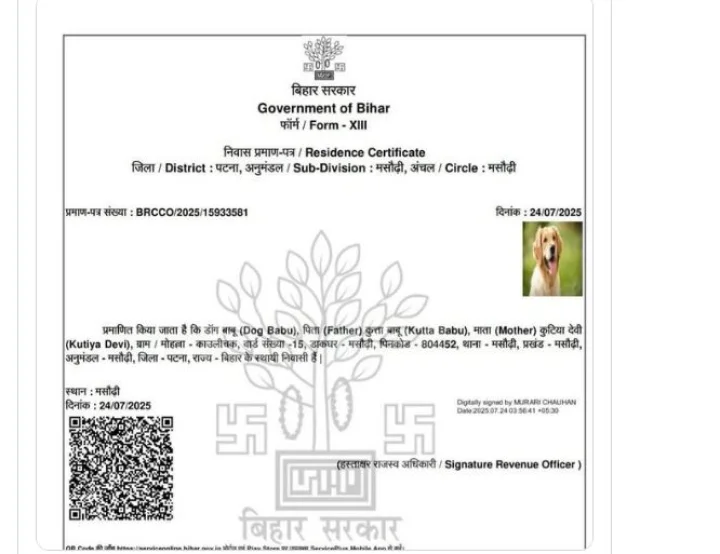 certificate of dog
