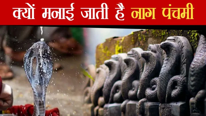 why nag panchami is celebrated