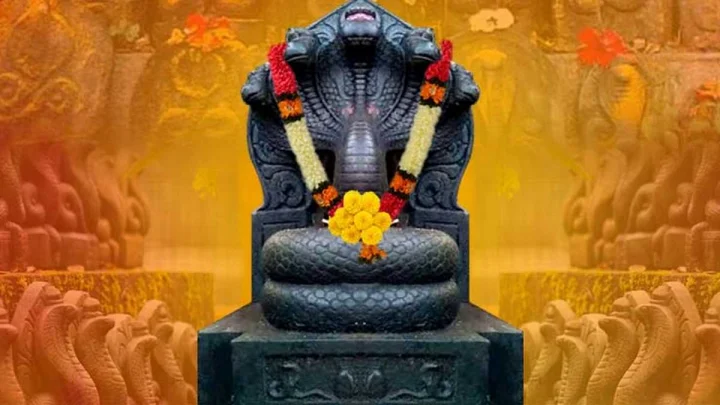 Prohibited work of Nagpanchami