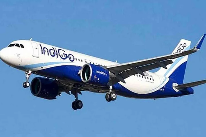 indigo
