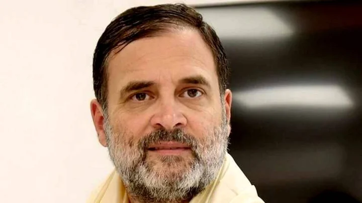 Rahul Gandhi gets bail