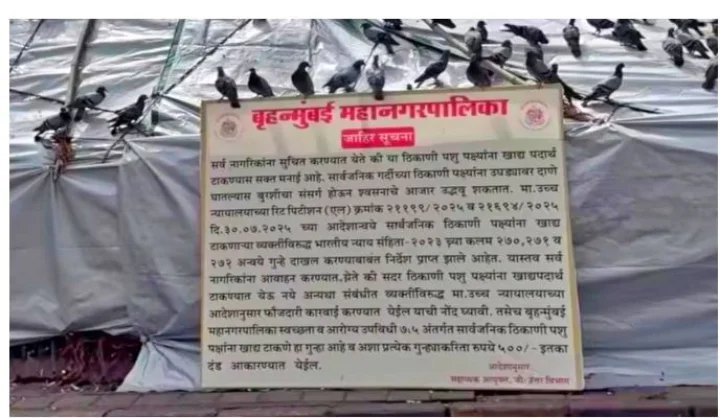 Kabutar Khana