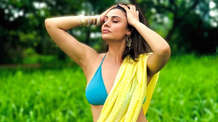 Bigg Boss 19 Updates