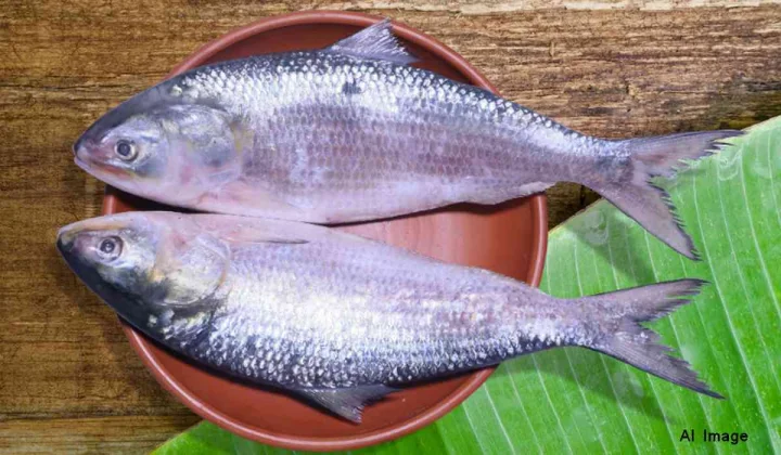 Fish monitoring from warship in Bangladesh