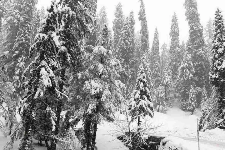 snowfall