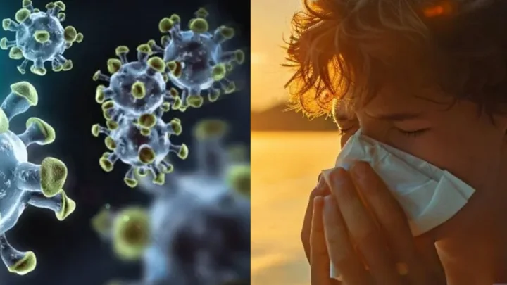 New disease outbreak in Japan