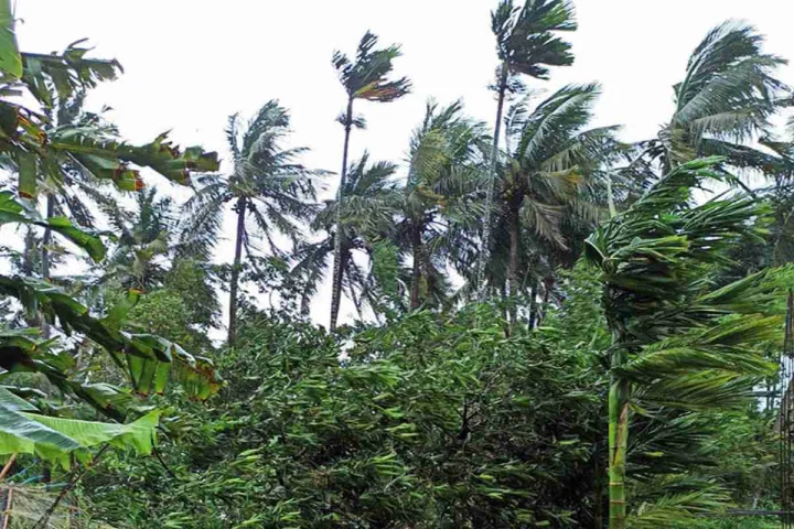 cyclone threat