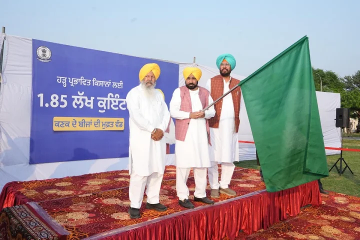 पंजाब में CM भगवंत सिंह मान ने पूरा किया बाढ़ प्रभावित किसानों से किया वादा, किसानों को भेजे गेहूं के बीज - Punjab Government begins distribution of free wheat seeds to farmers in flood-affected districts Punjab