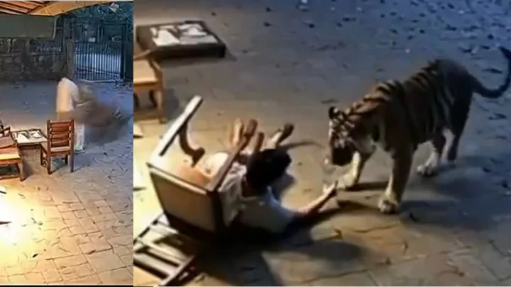 Kidnapping of persons