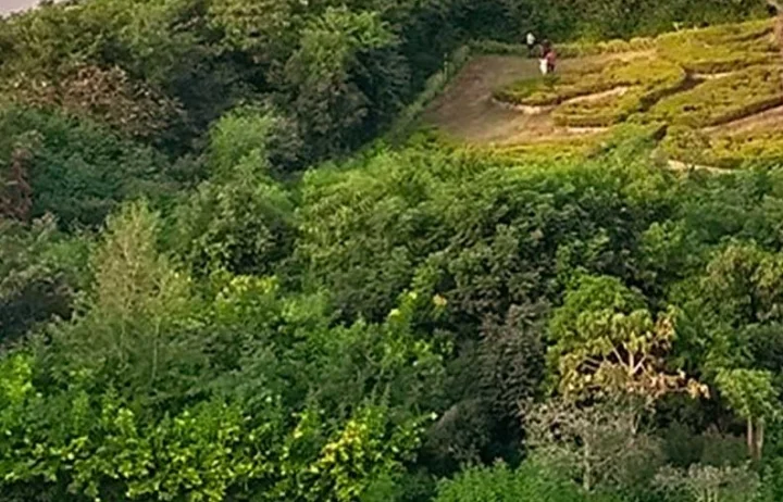 गुजरात के बनासकांठा में 500 लोगों ने पुलिस और वन अधिकारियों पर किया हमला, 47 घायल