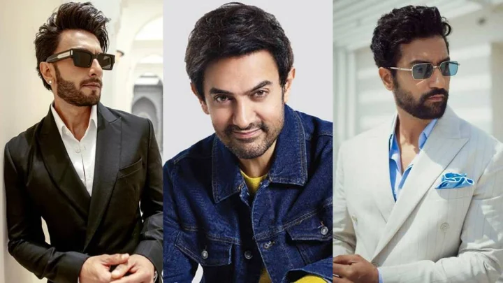 2025 में इन बॉलीवुड अभिनताओं ने सिल्वर स्क्रीन पर बिखेरा जलवा